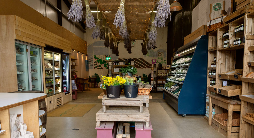 Fresh Veg and Herbs.jpg