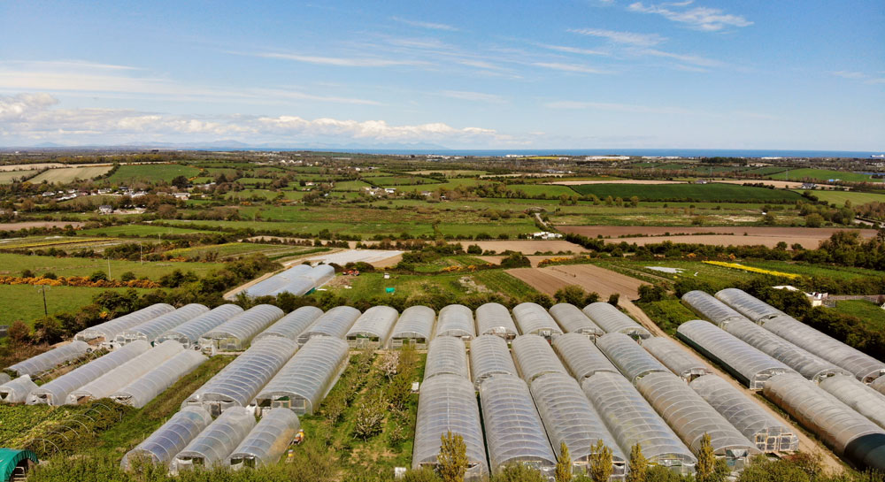 Our Farm